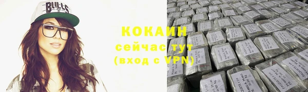 соль ск Алексин