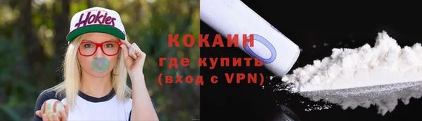 соль ск Алексин