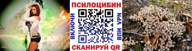 Галлюциногенные грибы Psilocybine cubensis  хочу наркоту  Далматово 